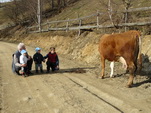 Click pentru poza mare