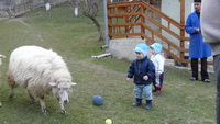 Click pentru poza mare