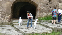 Click pentru poza mare